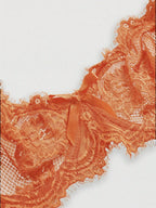 Women’s Gothic Floral Lace Underwire Triangle Bra | Sheer Mesh Sexy Lingerie
