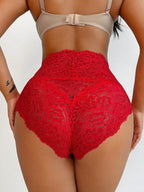 High Waist Lace Shaping Panties | Tummy Control Lingerie Briefs | Seamless Shaping Underwear